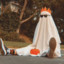 Tiny_Ghost