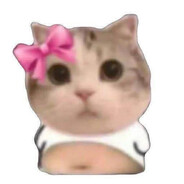 bubu
