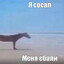 солевой соловей