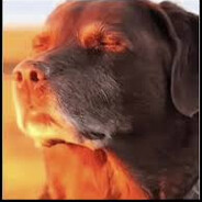 grabzzzzz - steam id 76561199816388971