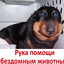 Москаль