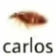 ⼕闩尺㇄ㄖ丂