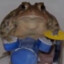 zalupus