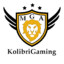 KolibriGaming77