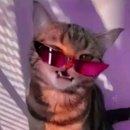 𒐫𒐫𒐫𒐫𒐫𒐫𒐫