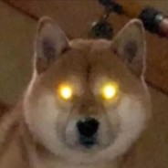 我跳伞指挥官 带两伞兵队友