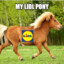 My LIDL Pony