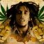 rastafaright