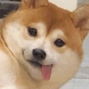 小样!看我不迷死你