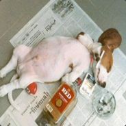 THP