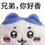 兄弟你好香啊