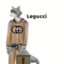 Legucci