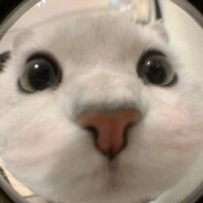 只想早点睡睡睡睡睡睡