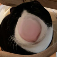 ᲼᲼᲼᲼᲼᲼᲼᲼᲼