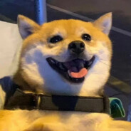 花花的世界迷人眼