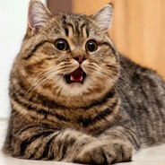 gocu_барсик - steam id 76561199469524326