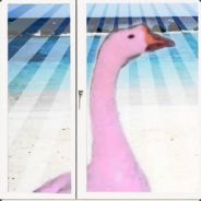 РозовийГусь