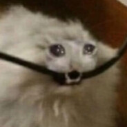 Габен дай птсы