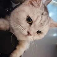 叽里咕噜说啥呢