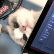 抖音清子子bushi