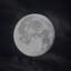 Literally The Moon