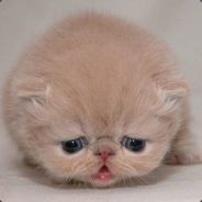 干不住对面就干住队友