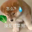 刘壮壮