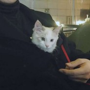 那个少年他走远了丶