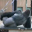 gorilla smurf de madera
