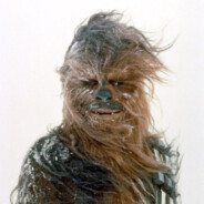 Chewbacca