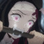 Nezuko Noms