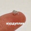 Курдуплик