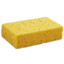 sponge