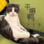 晓寒