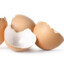 egg shells