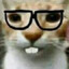 Leothemonke