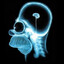 NoNBrain