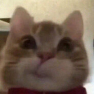 123123