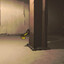 WALLSLLAW