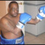 Beetle Boxing