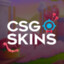 fiesta_enjoyer CSGOSKINS