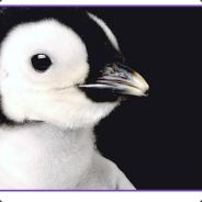 Ravenous Penguin