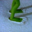 KerMit_Has[toEs}