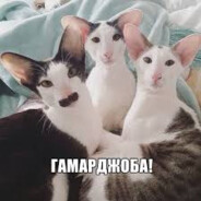 г а м а р д ж о б а