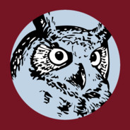 Pedantic Owl avatar