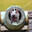 projectile dog