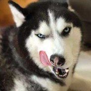 打个游戏你也叫