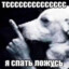 Головоногий