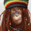 RASTA