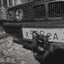 NotTryHard1